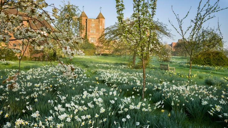 The Garden Orchard at Sissinghurst Castle Garden in April